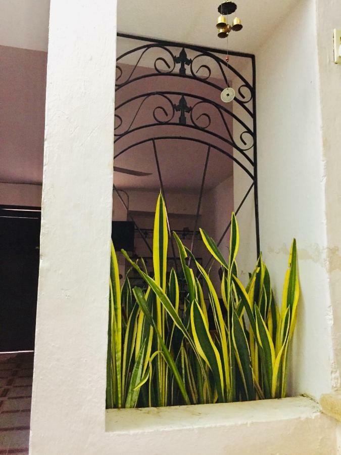 Casa De Ines Y Victoria Hotel Валядолид Екстериор снимка